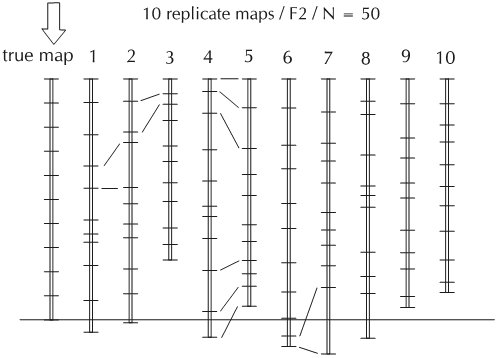 different maps.jpg